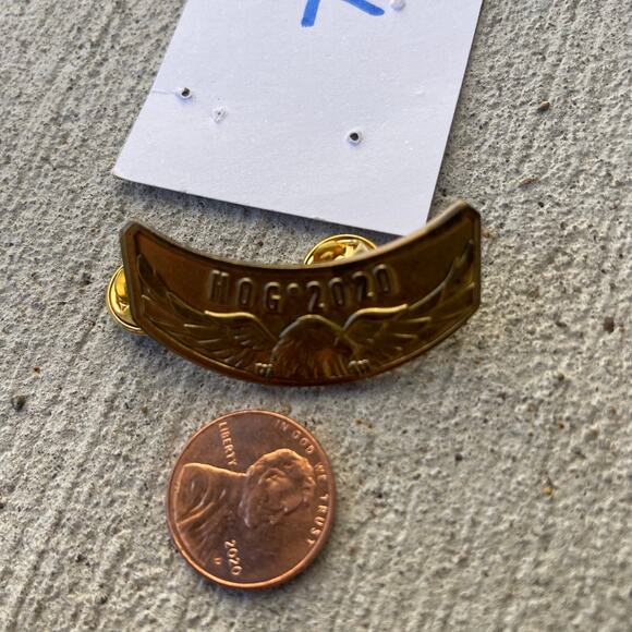 Harley Davidson HOG Pin 2020 - Picture 3 of 10